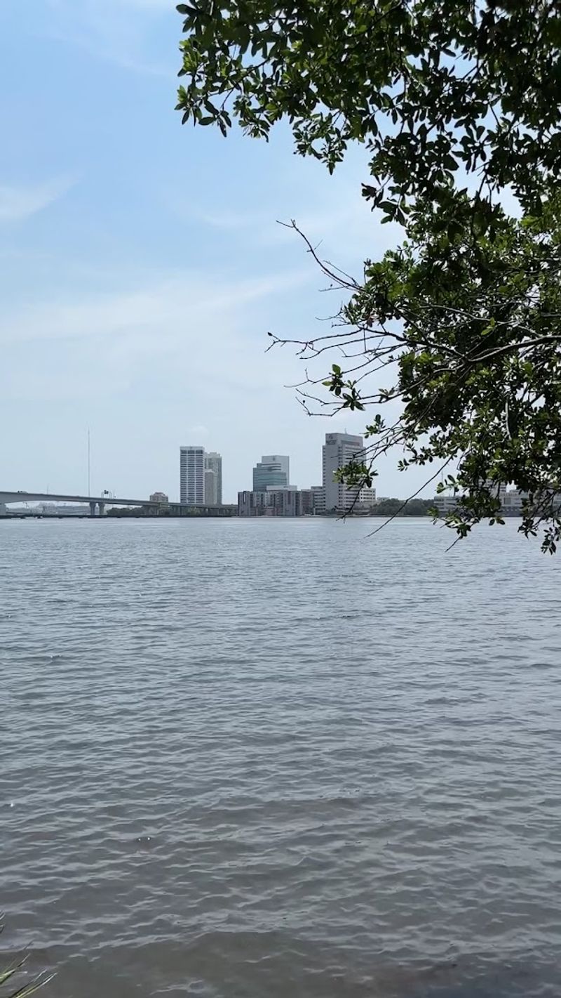 The St. Johns River Up Close