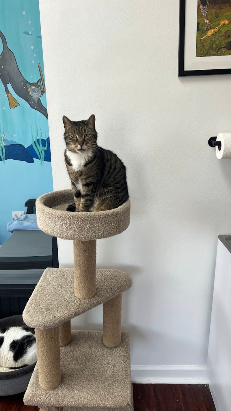 Tips for Getting the Most Out of Your Visit