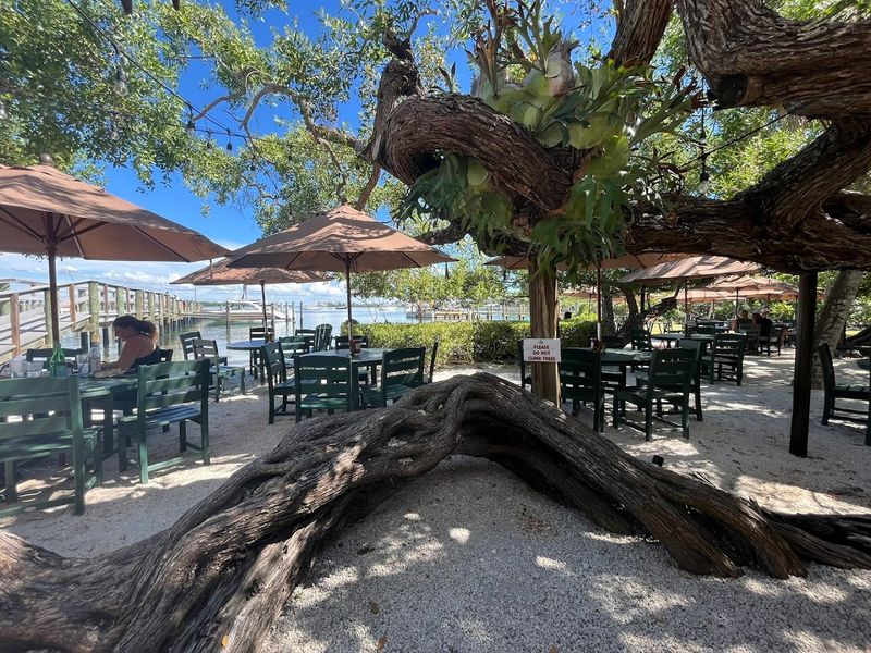 Why Mar Vista Belongs on Every Longboat Key Itinerary