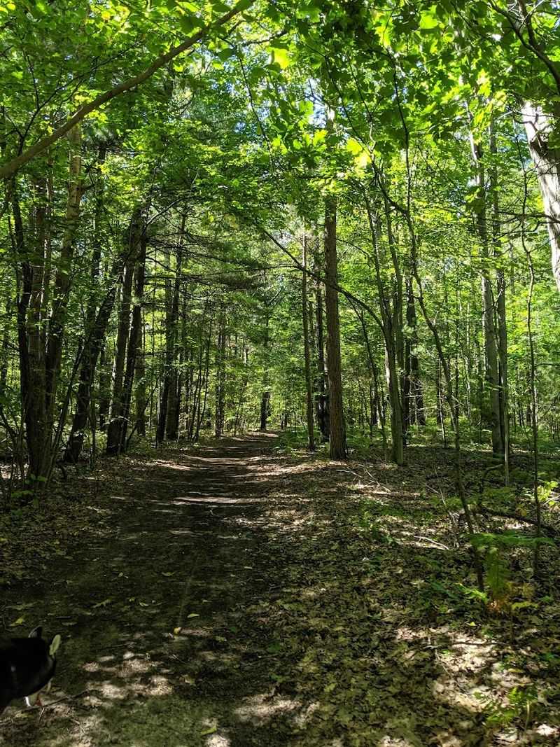 Wildlife, Deer, and the Tick Situation You Should Know About