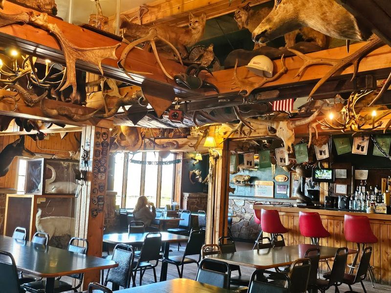 Generations of Loyal Visitors