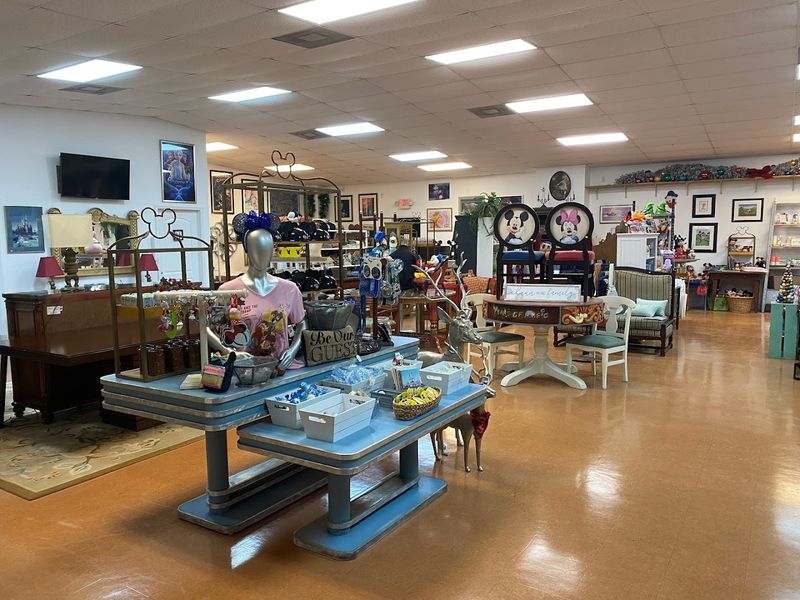 The Layout and Atmosphere Inside the Store