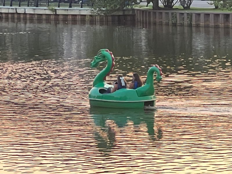 Tips Before You Head Out