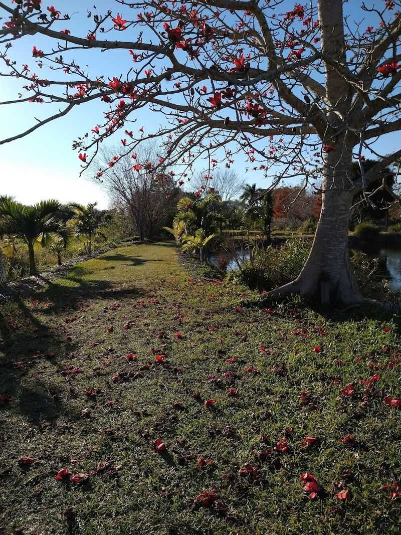 Holiday Lights and Seasonal Charms