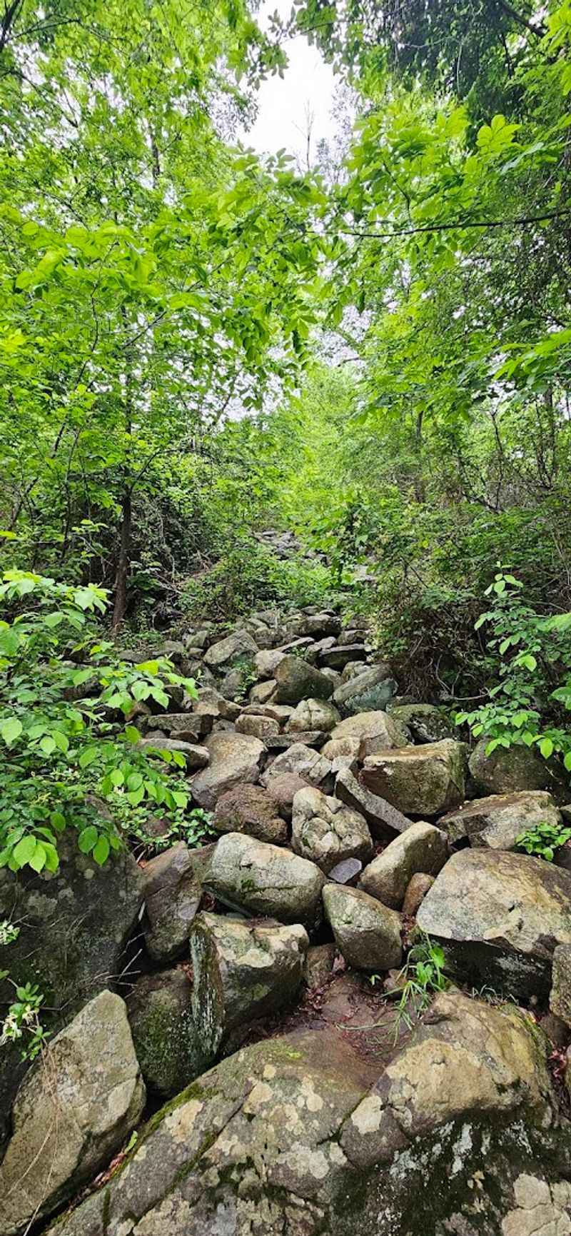 The Rock Scramble That Makes the Blue Trail Stand Out