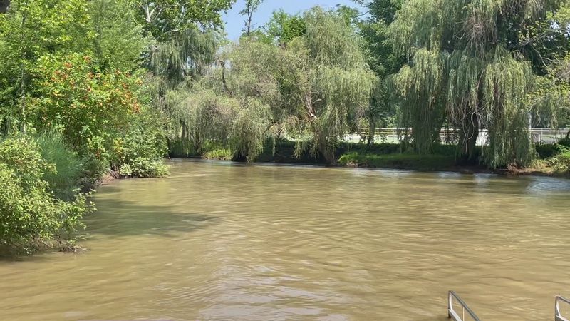 Old Mill Echoes Under the Trees