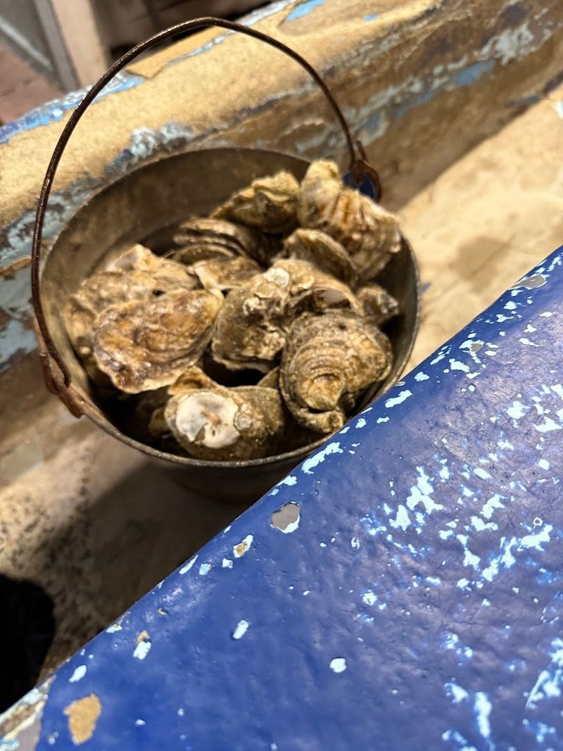 What the Oyster Bar Experience Actually Feels Like