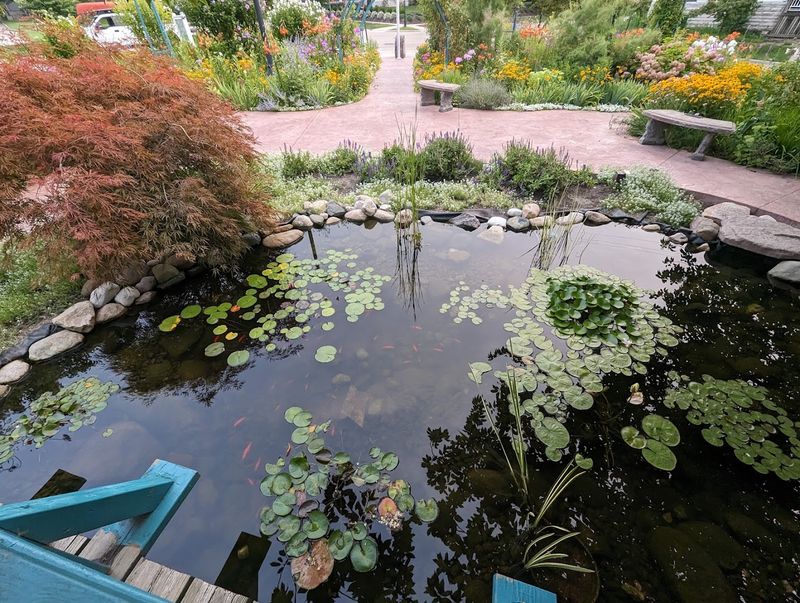 The Giverny Connection That Started It All