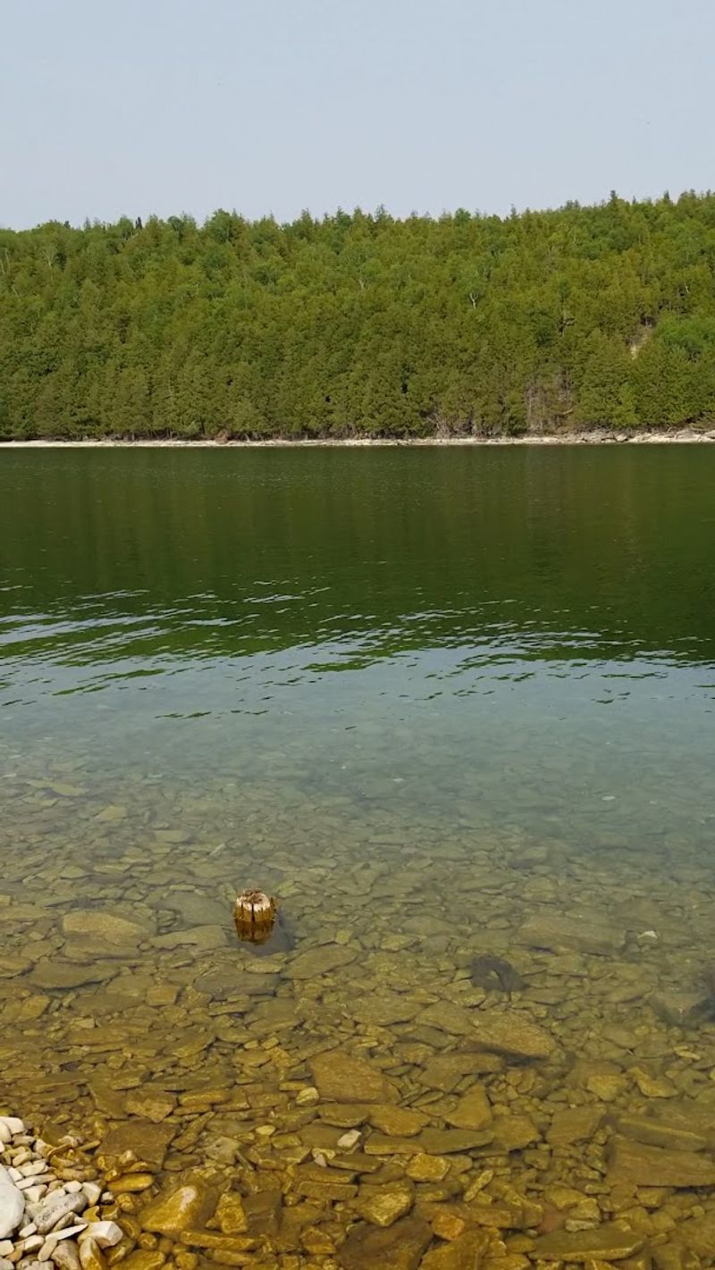 Camping Under a Sky Full of Stars