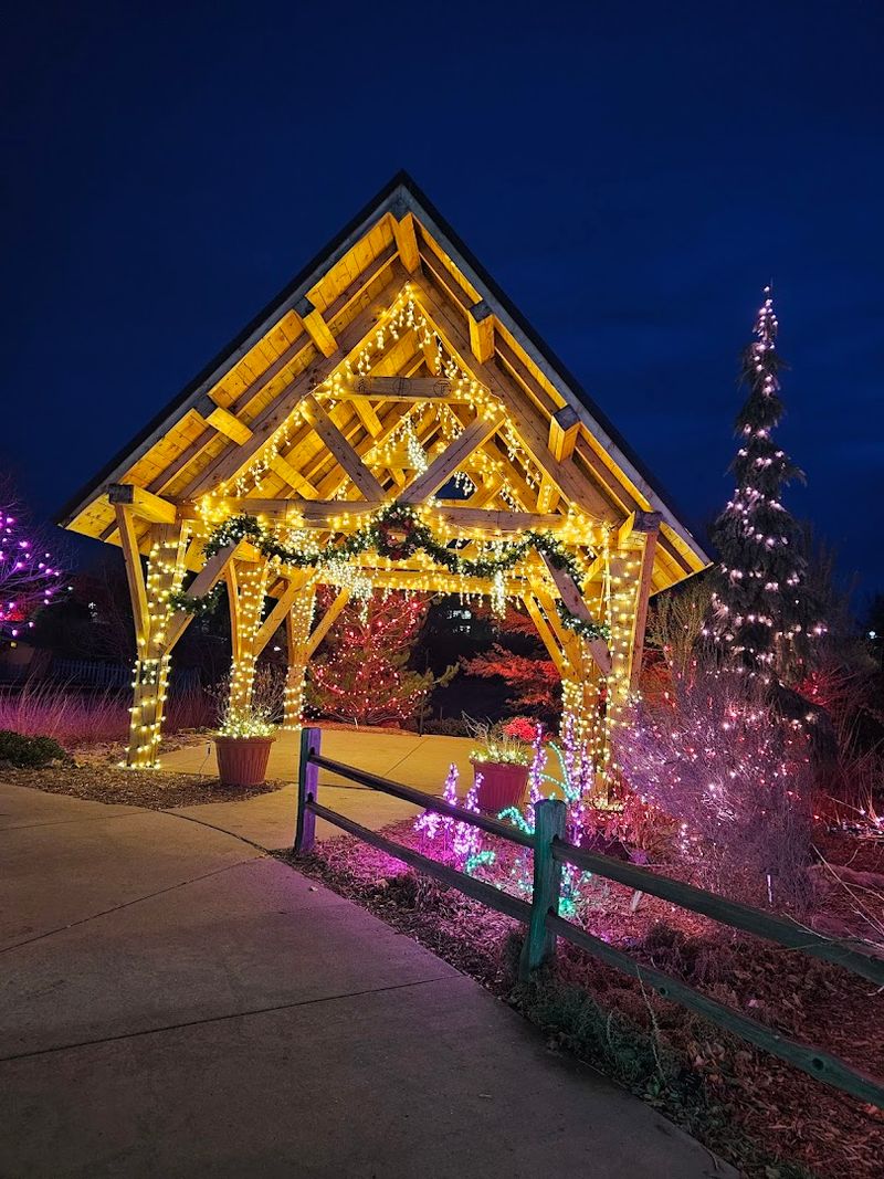 Best Times to Visit and What to Expect Each Season