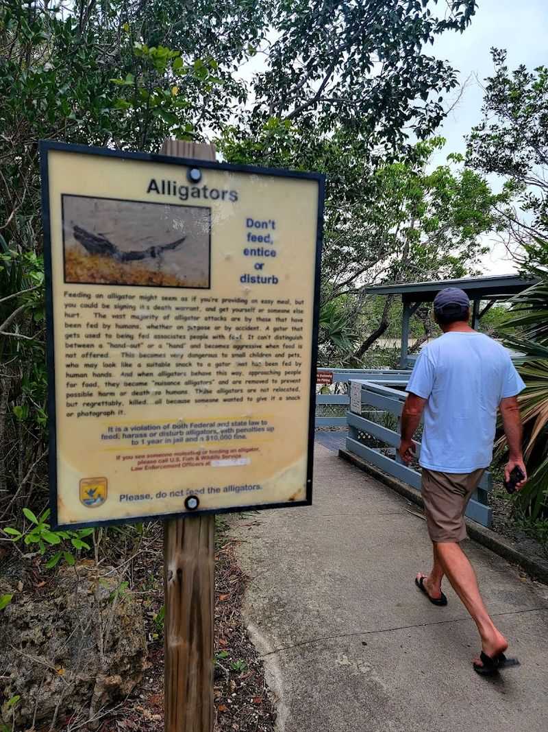 The Volunteers Who Make the Visit Better