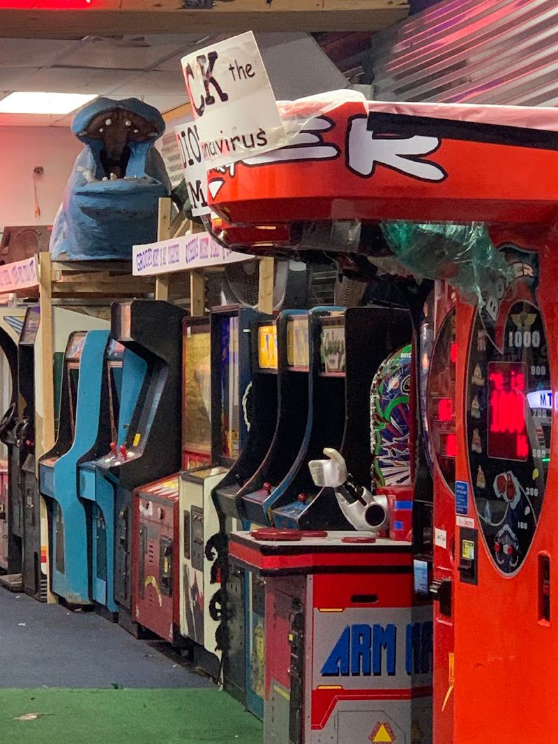 When to Go and What to Expect