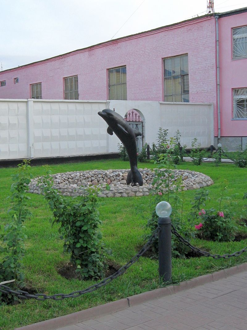 Black Dolphin Prison, Russia