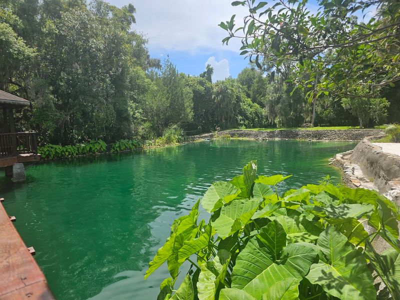 Practical Gear Tips and What to Bring