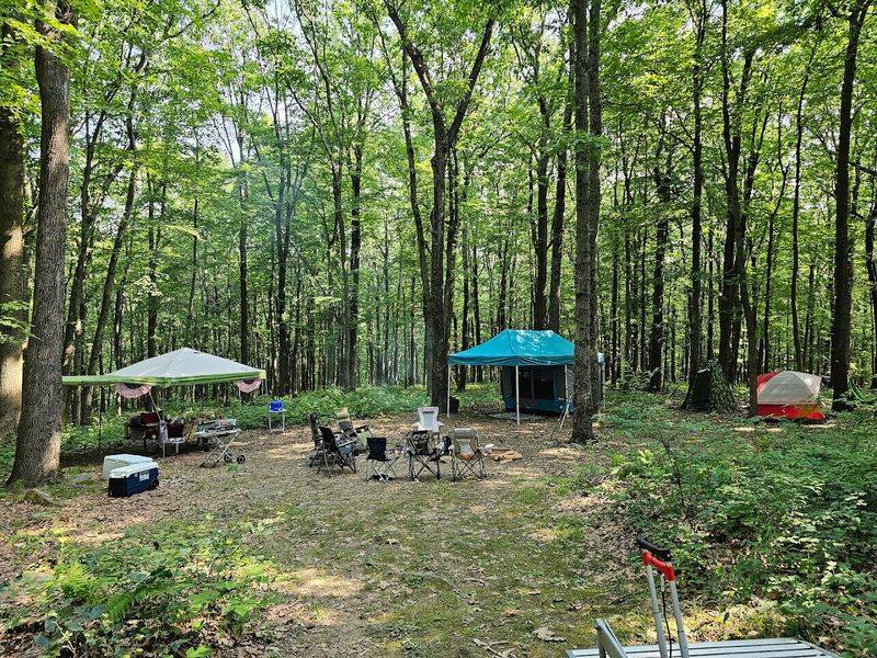 The Best Seasons to Plan Your Visit