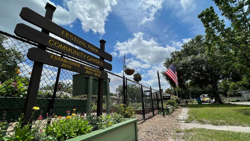 Morning Visits and the Quieter Side of the Park