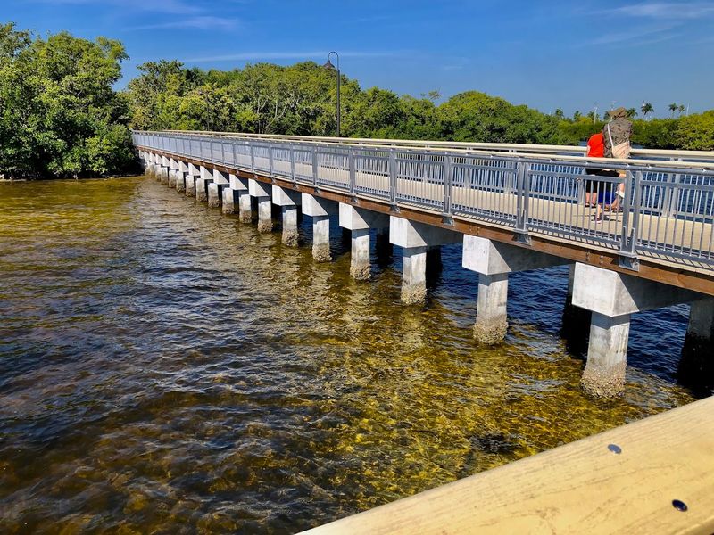 Best Times to Visit and What to Expect