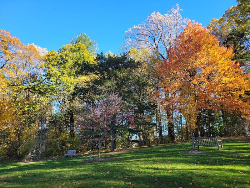 The Best Times of Year to Visit