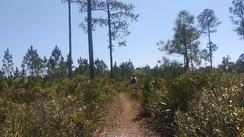 Birdwatching Highlights and What to Listen For