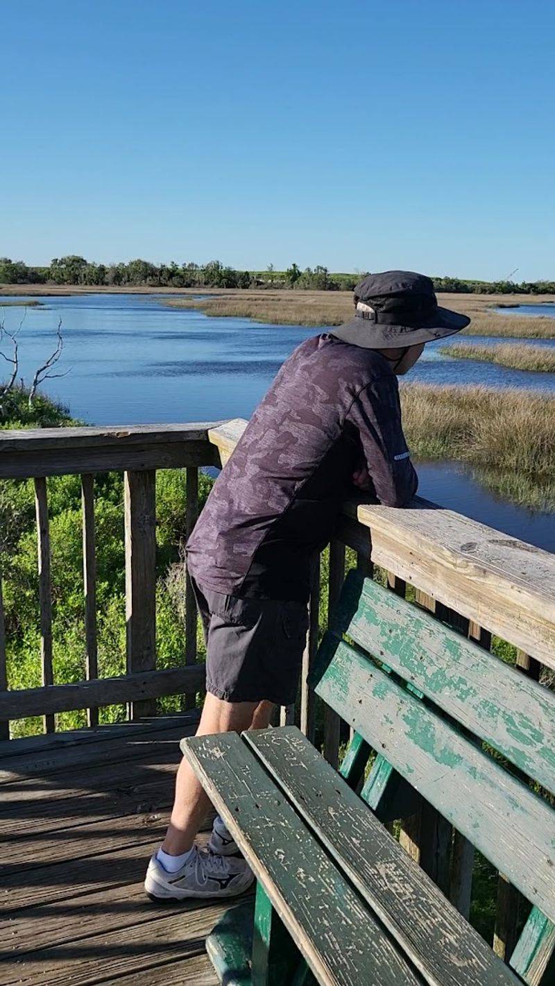 The St. Johns River Connection: Water Views on the Back Half