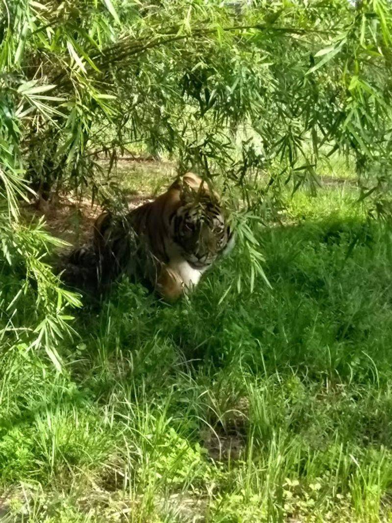 Family-Friendly in the Truest Sense