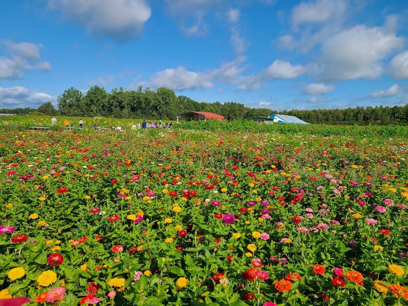 Why This Farm Keeps Drawing People Back Year After Year