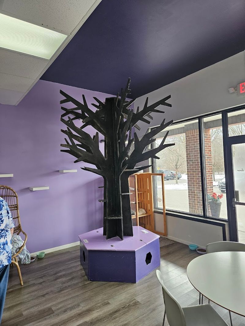 A Space That Feels Calming in the Best Way