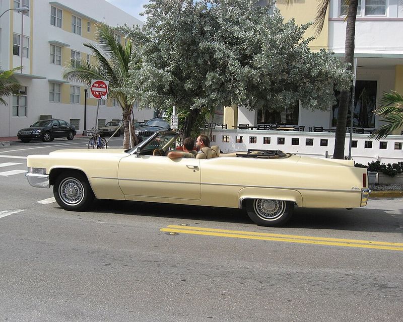 Taking a Sunday Drive