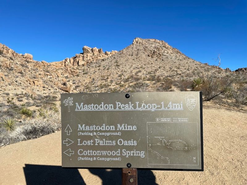 Mastodon Peak Loop, Joshua Tree National Park, California
