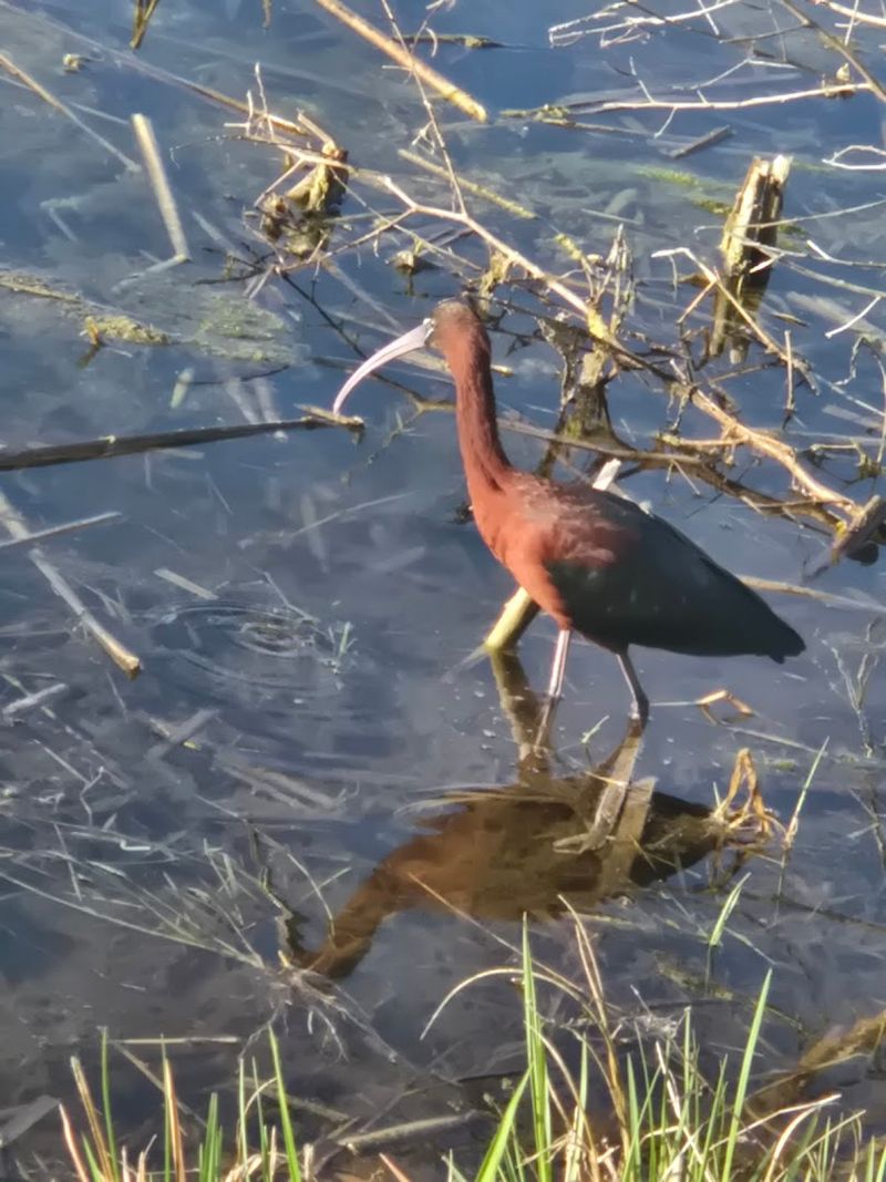 A Birdwatcher's Dream Destination