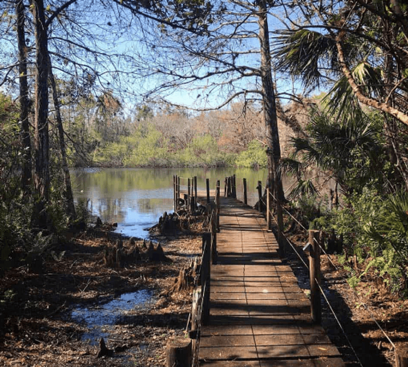 The Fakahatchee Hilton and the Cabin on the Lake