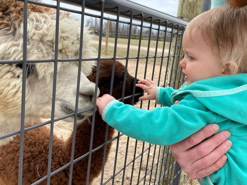 What Makes This Farm a Perfect Stop for Families With Kids