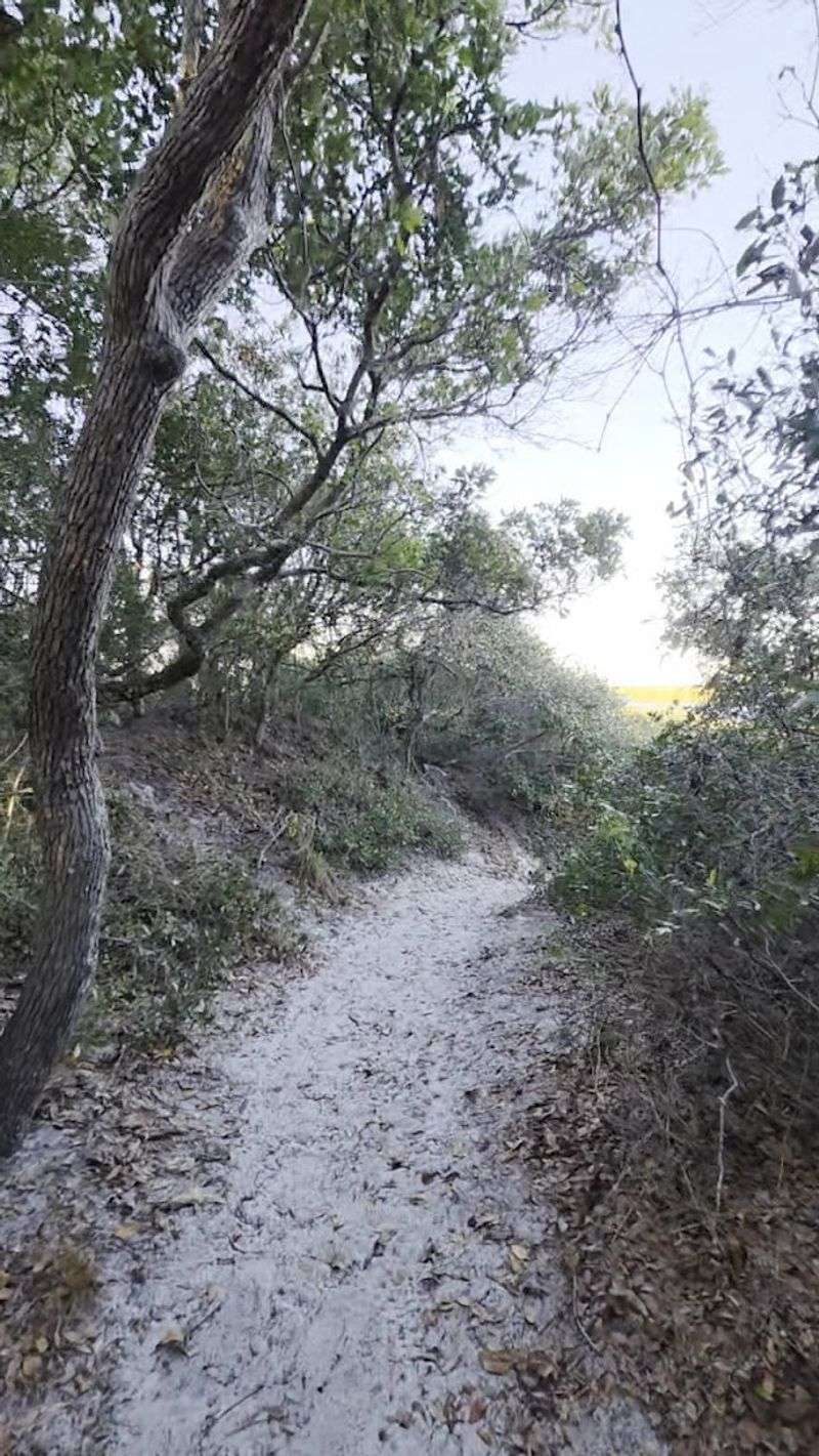 Anastasia State Park – Ancient Dunes Trail (St. Augustine)