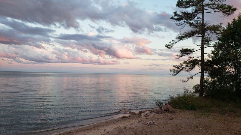 The Best Times to Visit and What to Expect