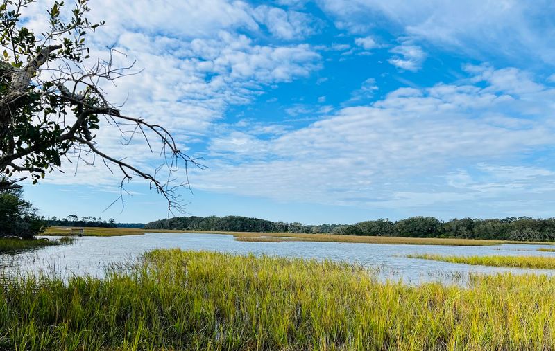 Little Talbot Island State Park (Jacksonville Area)