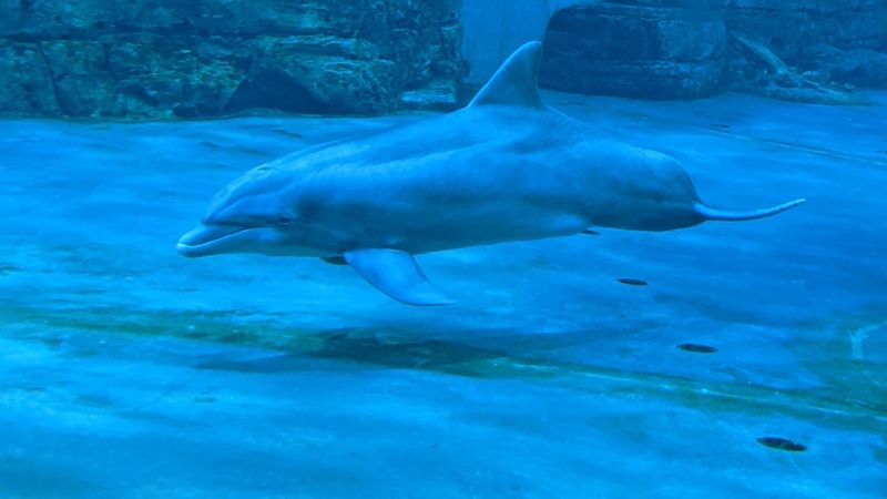 Practical Tips for Planning Your Visit