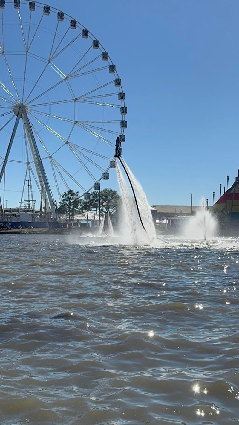 Live Entertainment and Special Shows