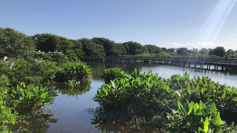 Wakodahatchee Wetlands - Delray Beach