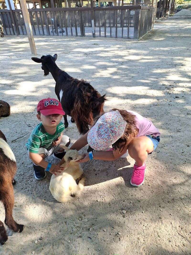 A Farm Experience That Earns Its Reputation