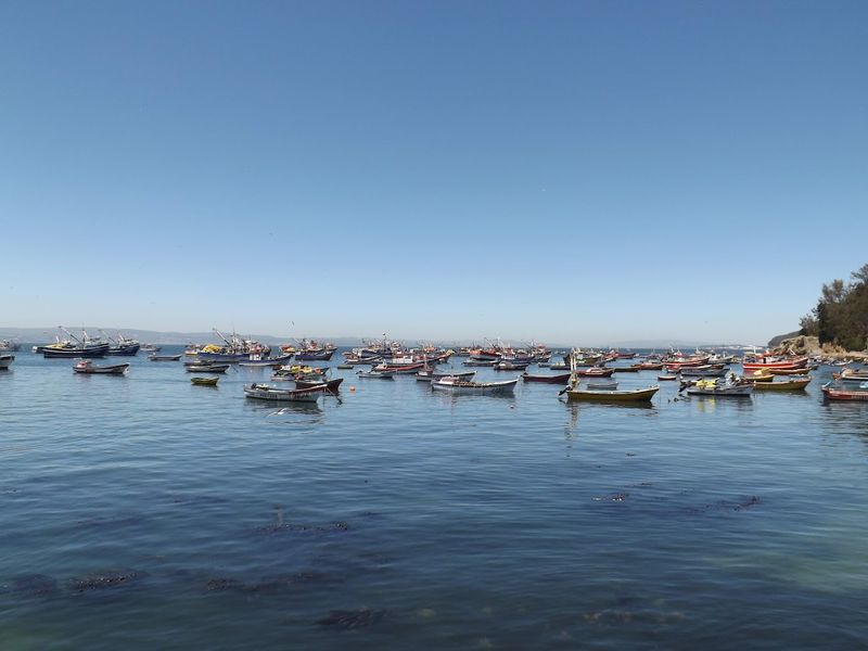 The South Pacific Gyre (Oceanic Desert)