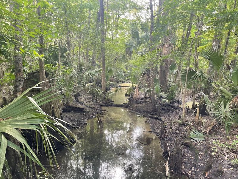 Rice Creek Conservation Area – Blue Trail