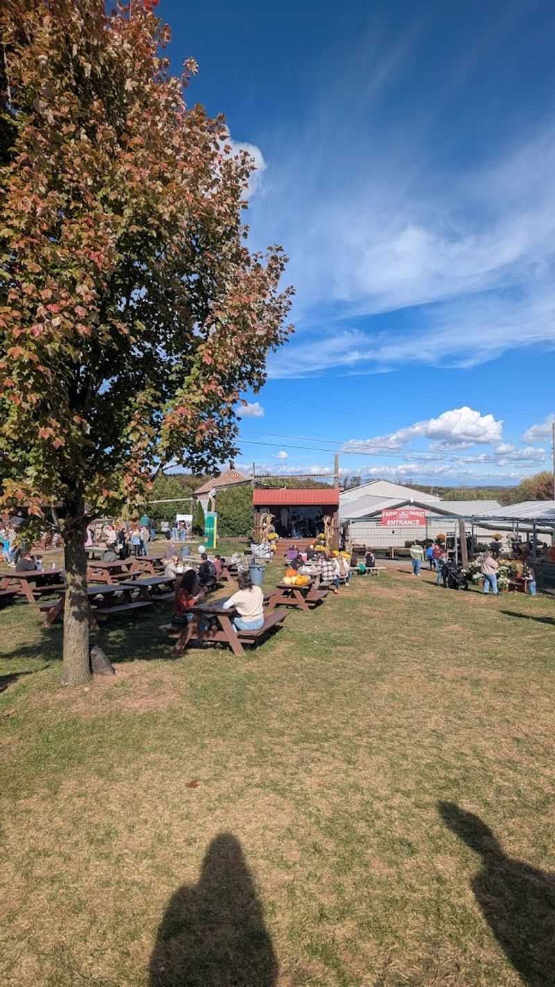Playground and Family Amenities