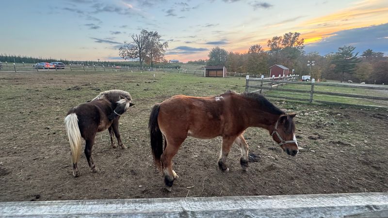 Activities Built for Kids of All Ages