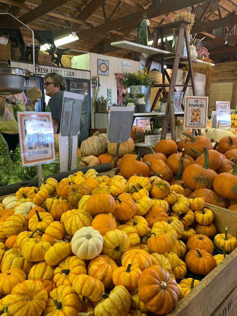 Fresh Cider Donuts and Bakery Treats Worth the Drive Alone