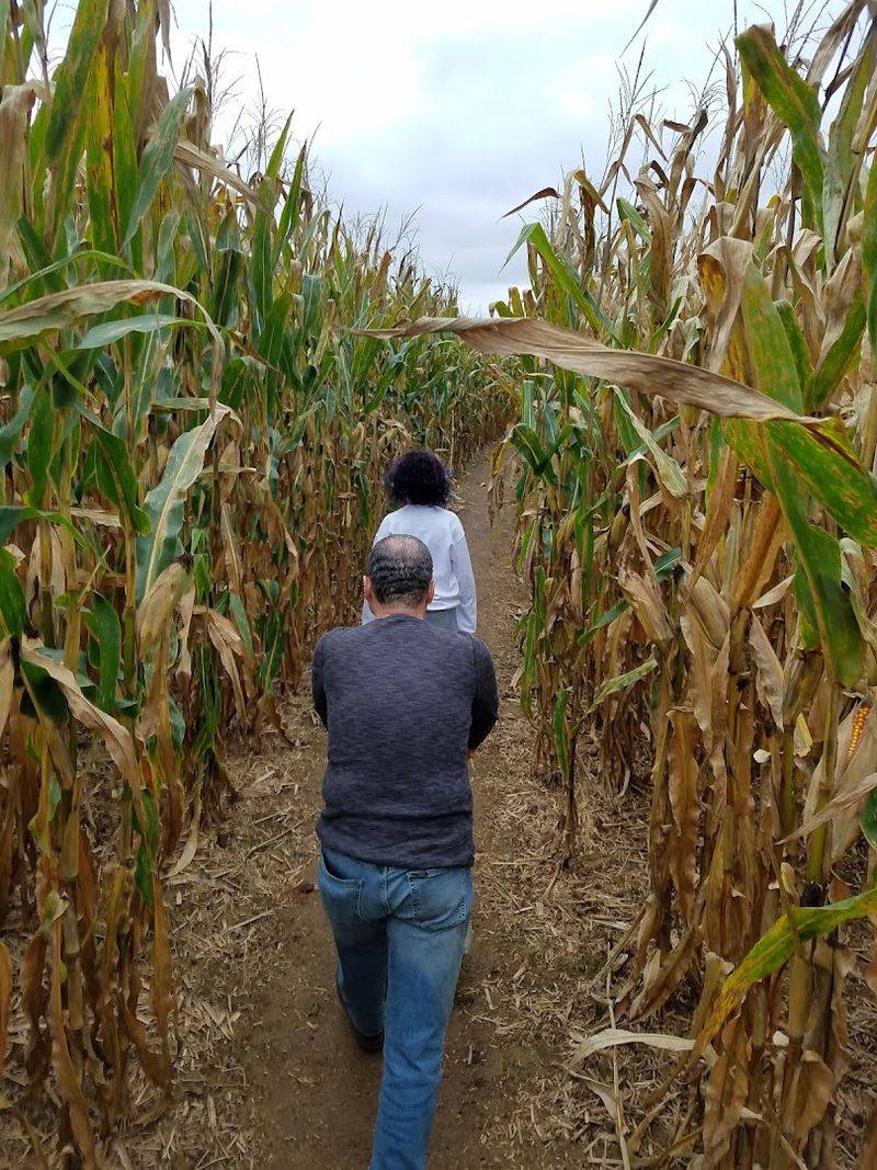 The Corn Maze That Comes With a Cause