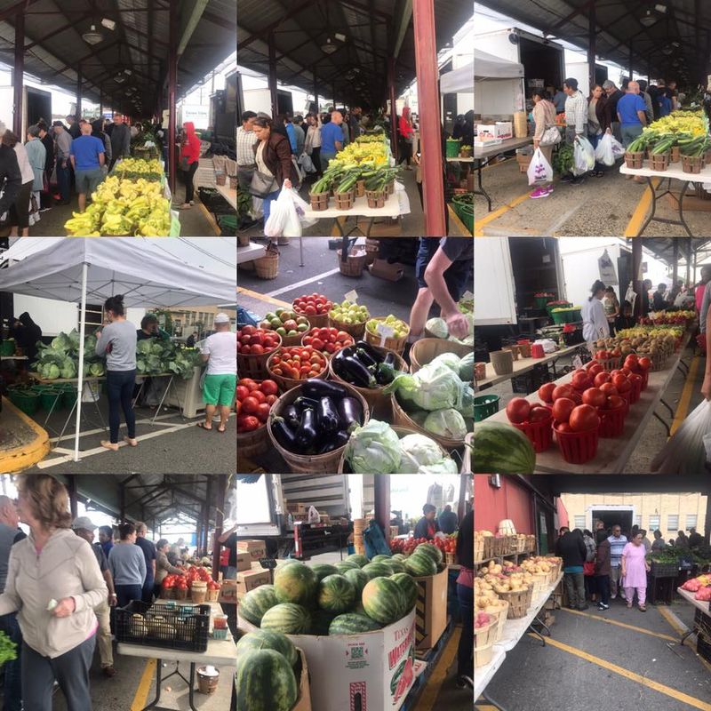 Navigating the Crowds on Busy Days