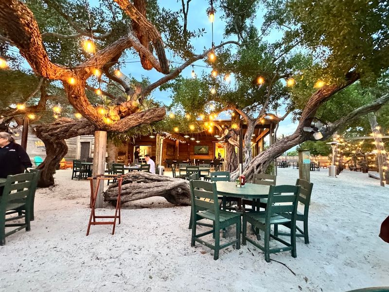 Practical Tips for Getting the Most Out of Your Visit