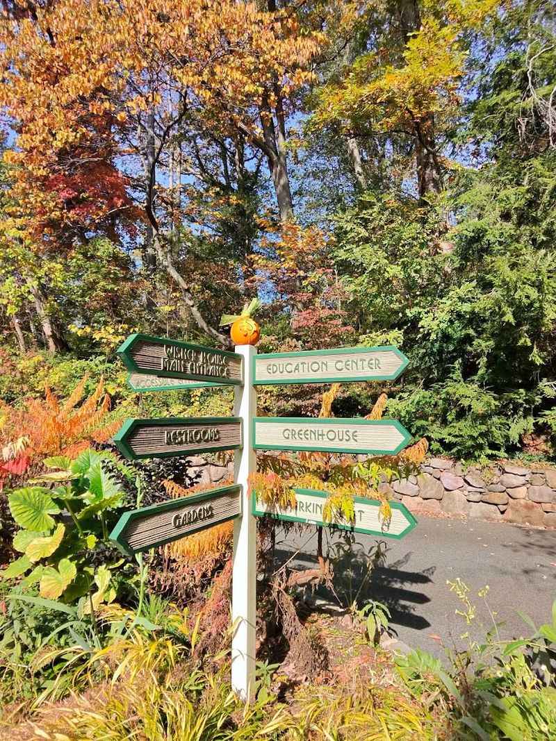 Accessibility and Practical Visitor Information