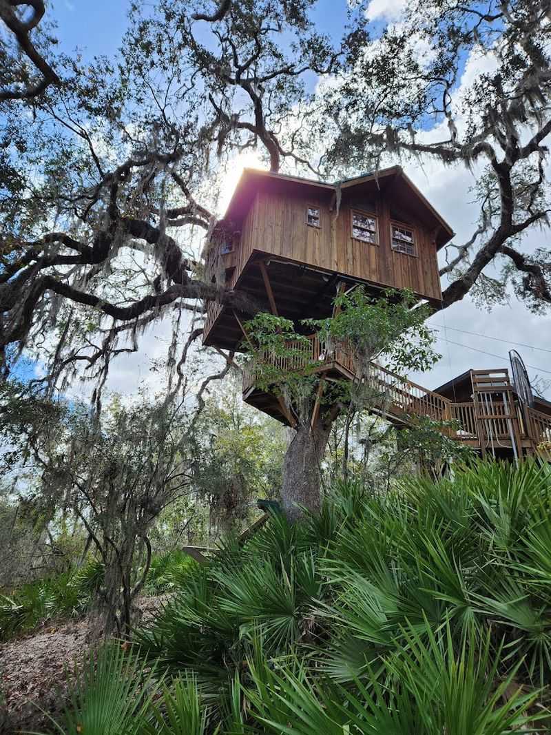 Bat House and Hidden Natural Wonders