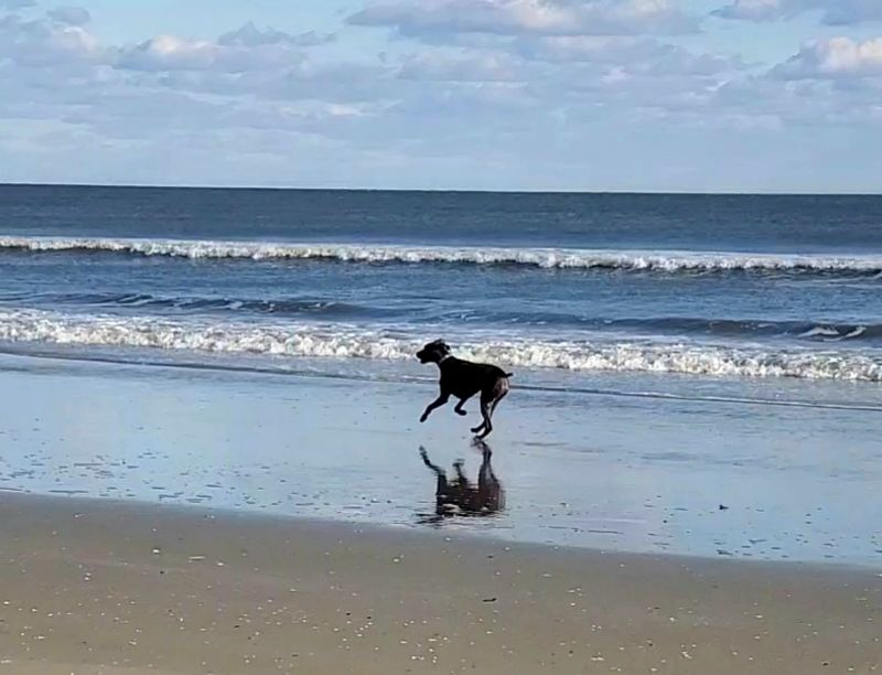 Stone Harbor Beaches, Stone Harbor, NJ